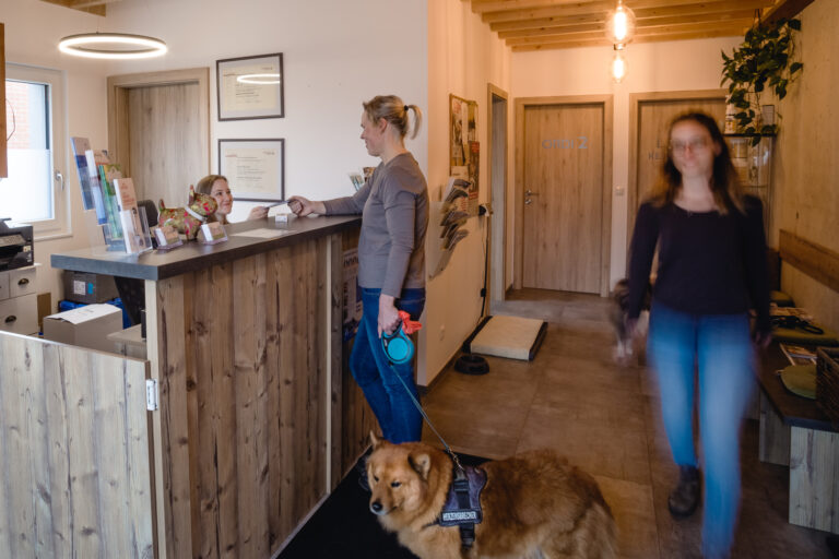Ganzheitliche Tiermedizin Lux-Samwald GmbH